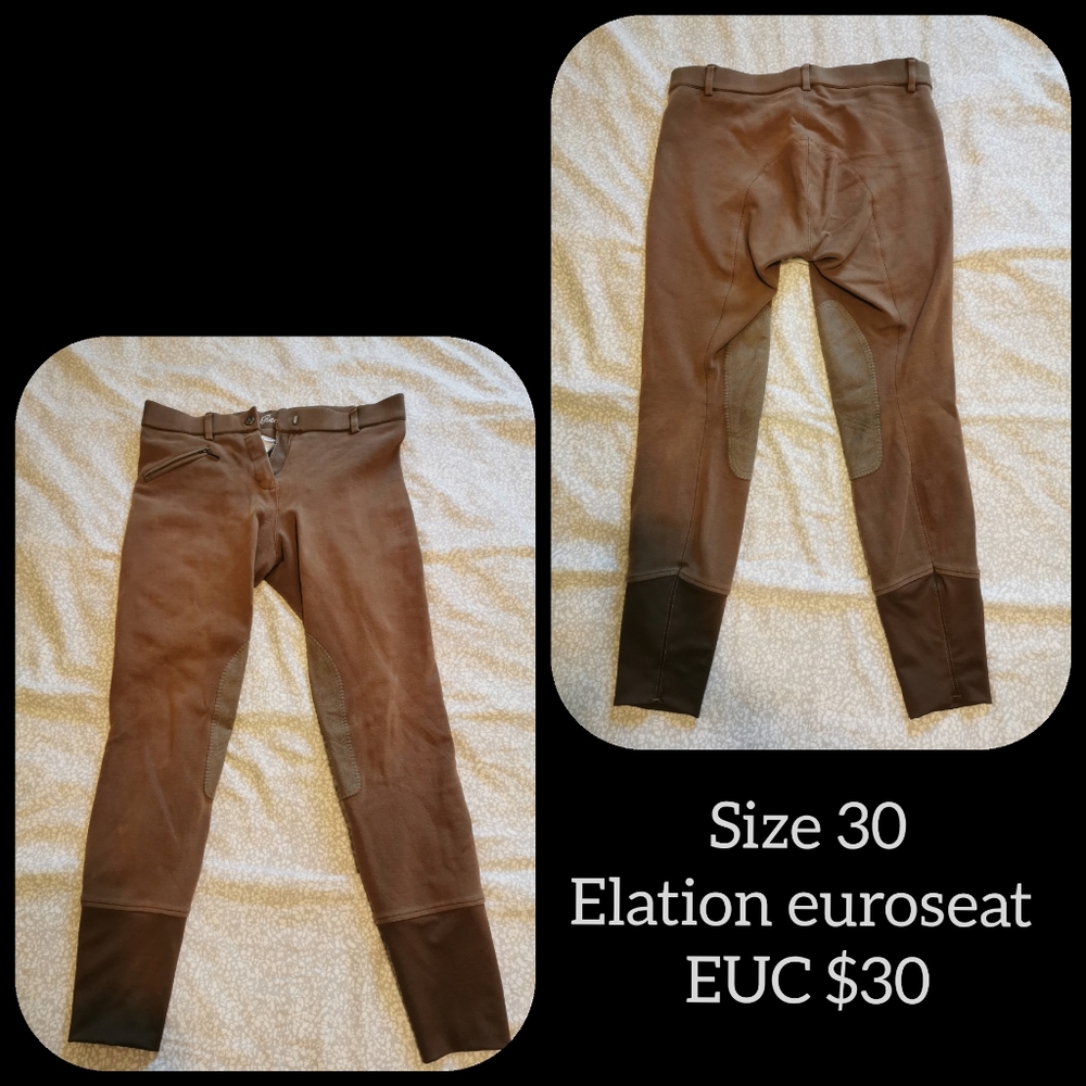 Brown Elation euroseat ladies breeches